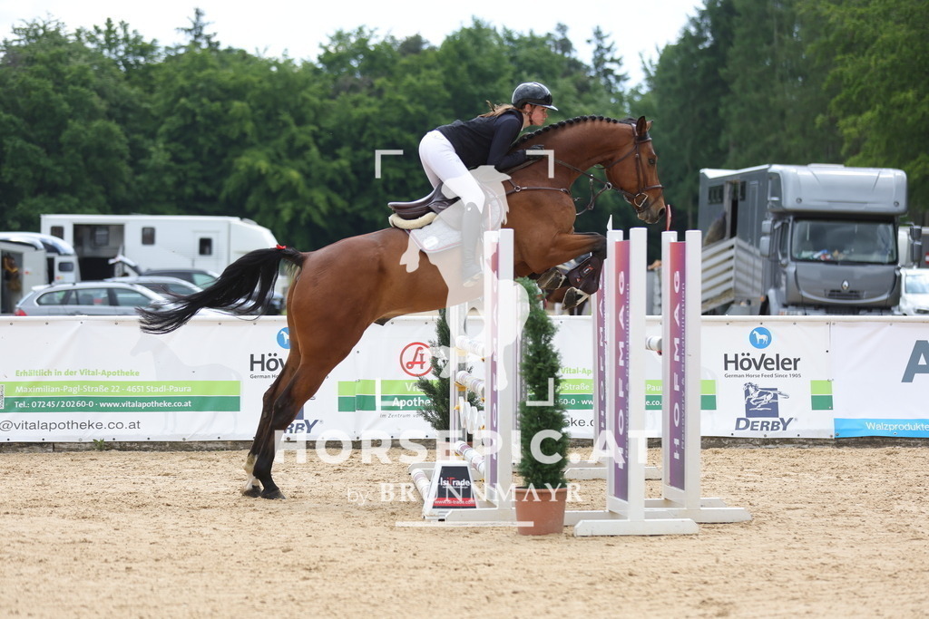 0P6A0499 | Willkommen bei Brunnmayr - Design & Fotografie – Ihrem Spezialisten für Reitturniere und Pferdeveranstaltungen in Oberösterreich, Salzburg und Bayern! Seit über 17 Jahren sind wir leidenschaftlich dabei.