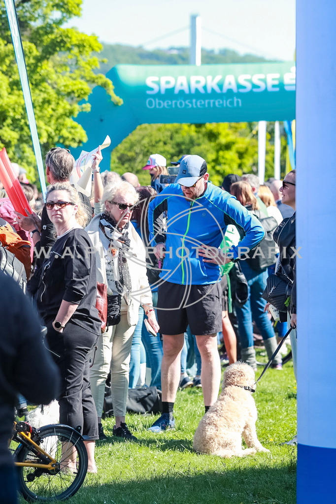 ..... | LINZ,AUSTRIA,27.April 25, Int. 3 Brückenlauf Linz  , Image shows: Photo: WAPICS / Manuel Binder