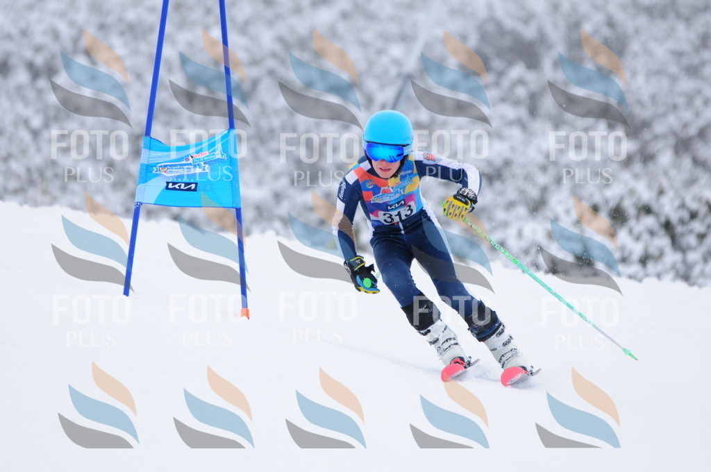 C3315 | holidayphoto