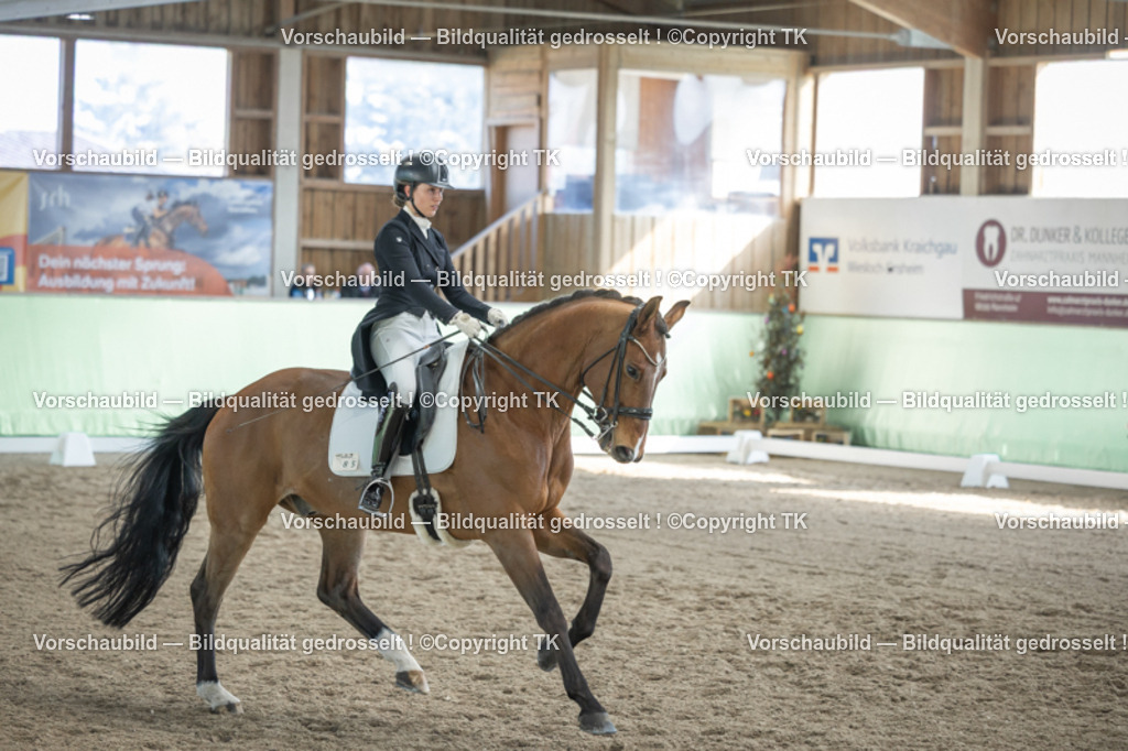 _D5A0022 | Emotionale Pferde- & People-Fotografie rund um Heidelberg, Leimen & Umgebung. Natürliche Fotos von Pferd, Mensch & Familie. Jetzt Termin sichern!