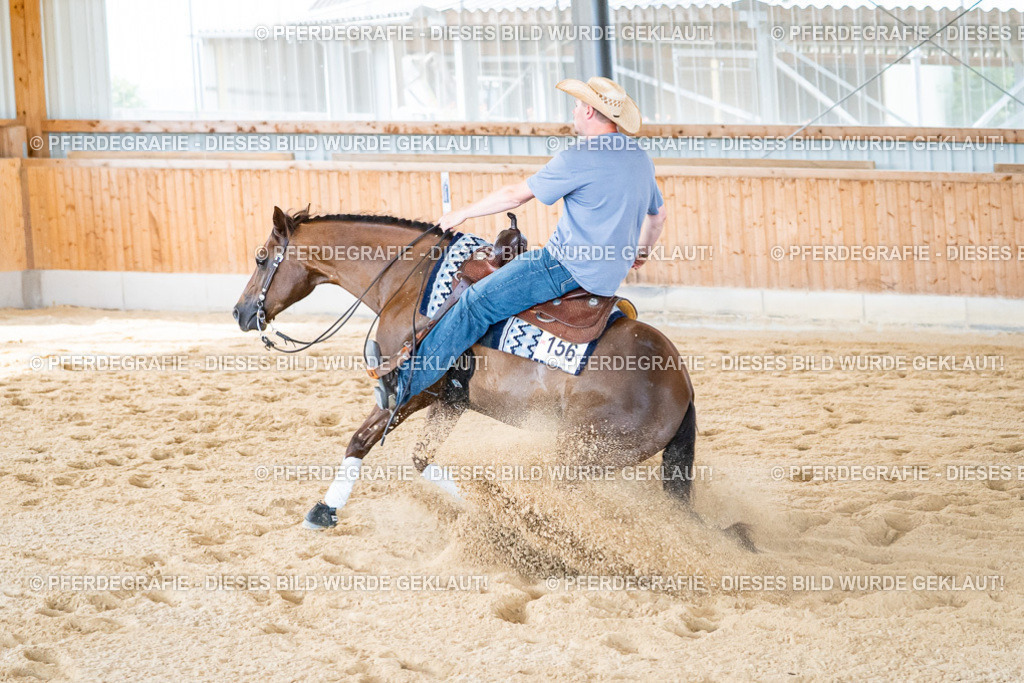 DSC04892 | Pferdegrafie