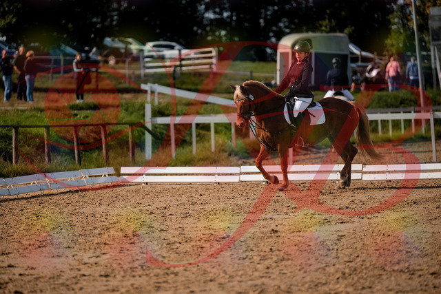 2026_10_03_Siefer-Hof_122126_Z63_44896745 | Professionelle Reitsport-, Turnier- und Eventfotografie von Robert Broda. Galerien mit ausgewählten und bearbeiteten Bildern direkt online ansehen und bestellen.