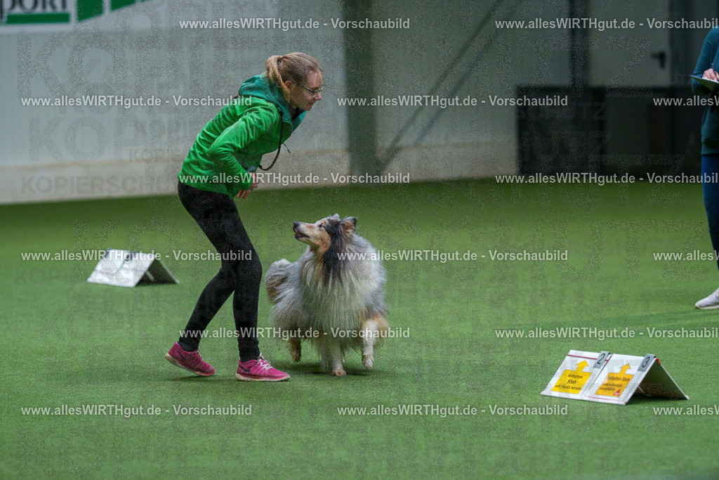 7R506239 | Professionelle Tierfotografie in Mönchengladbach von Daniel Wirth (allesWIRTHgut). Liebevolle & natürliche Bilder von Hunden & Katzen für unvergessliche Erinnerungen.