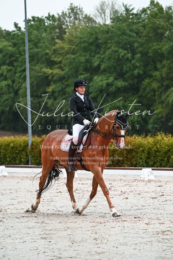 DSC_4453 | Pferde- und Turnierfotografie in Westsachsen. Pferdeportraits, Auftragszeichnungen und intuitive Kunst.