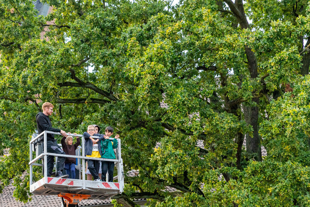 ONW-Lauf von oben-6249 | #Fotoschriber