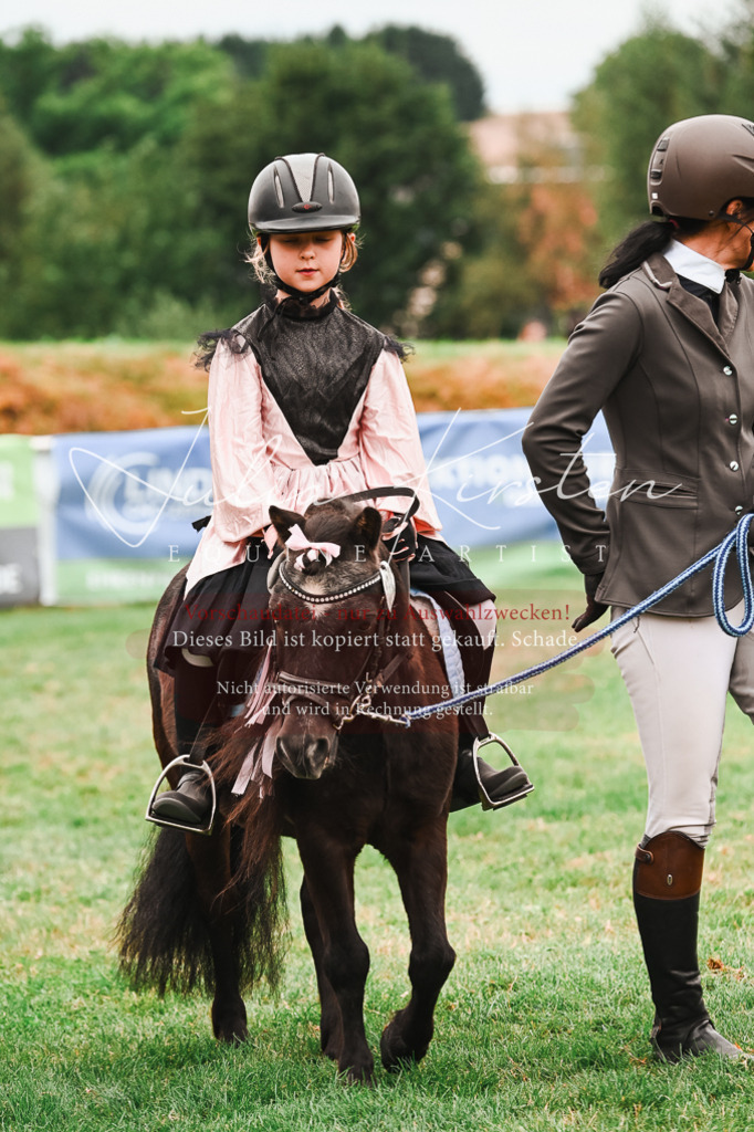 DSC_7403 | Pferde- und Turnierfotografie in Westsachsen. Pferdeportraits, Auftragszeichnungen und intuitive Kunst.