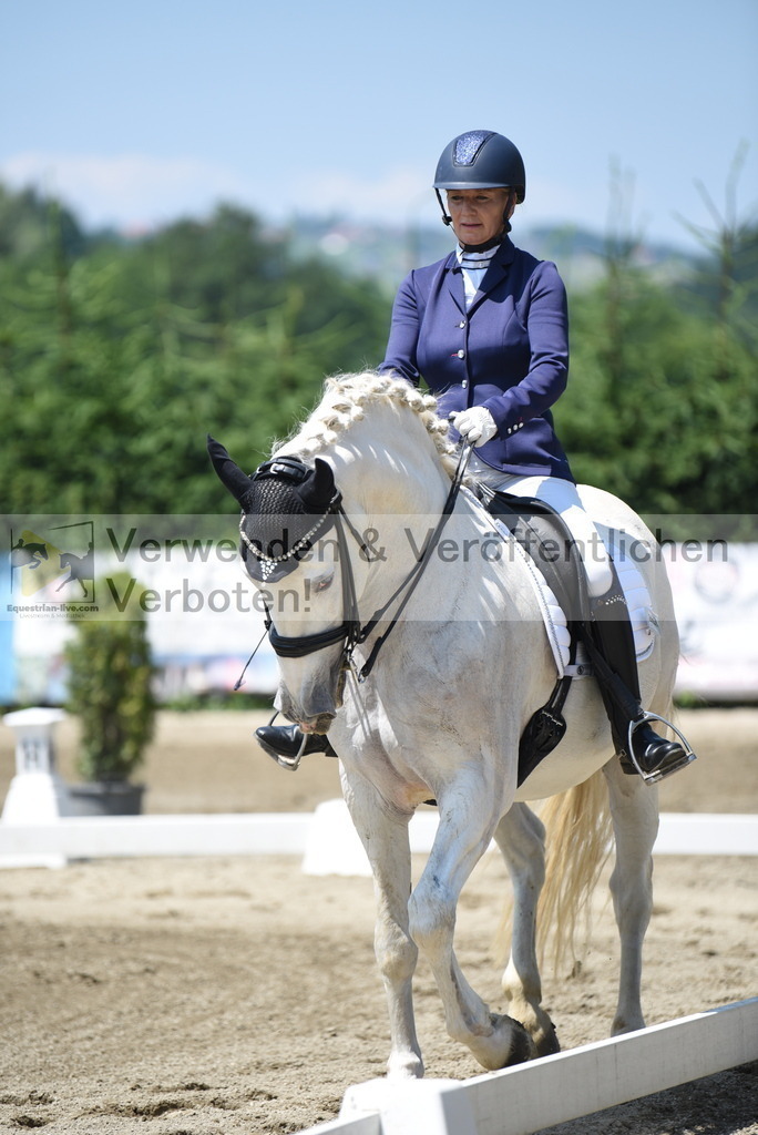 DSC_0264 | equestrian-live-com