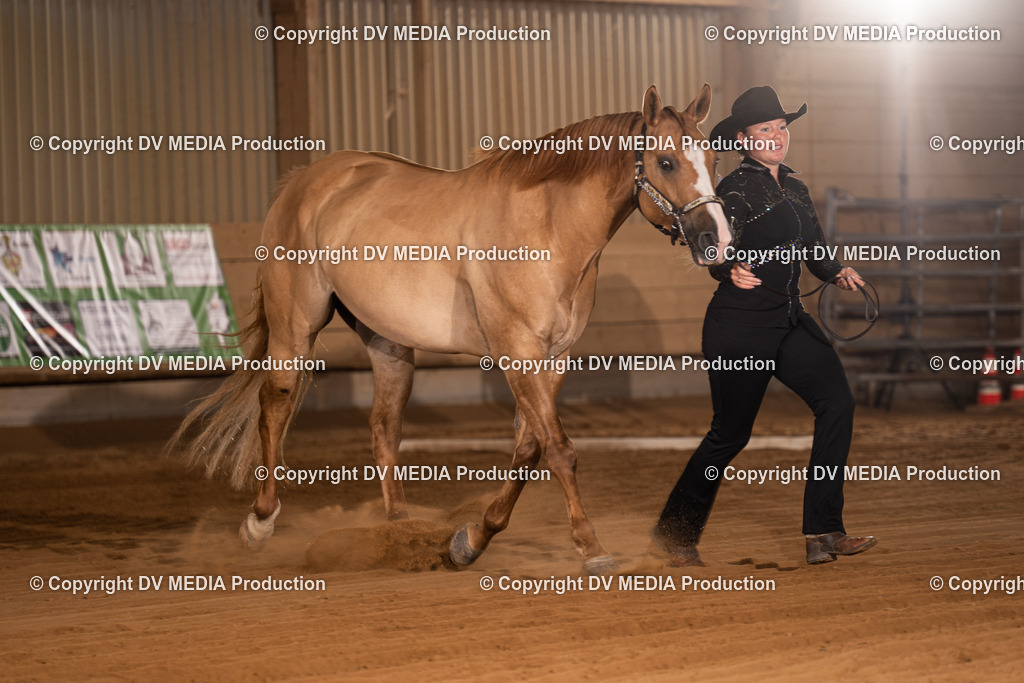 NID00002 | dv-media-shop - Realisiert mit Pictrs.com