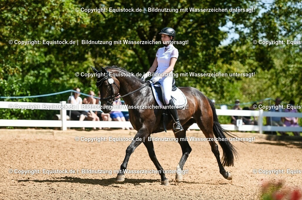 20230715_02_Dressurreiterprüfung Kl.L_0051 | equistock