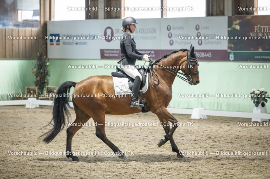 _D5A3578 | Emotionale Pferde- & People-Fotografie rund um Heidelberg, Leimen & Umgebung. Natürliche Fotos von Pferd, Mensch & Familie. Jetzt Termin sichern!