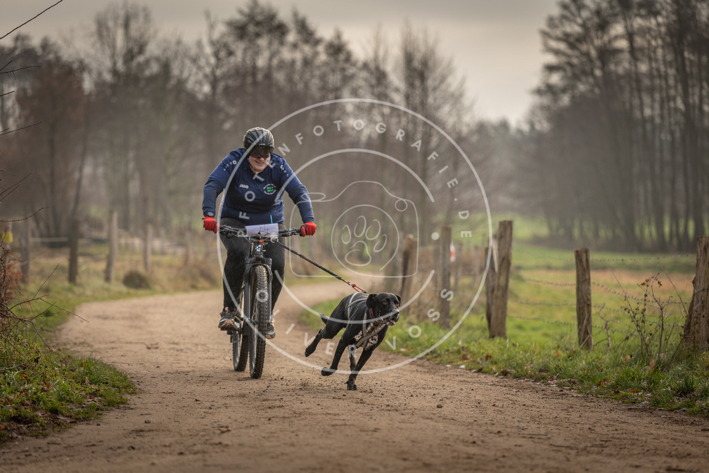 Pfotenfotografie_DV3A2025 | Hundefotografie, Tierfotograf, Pfotenfotografie, Fotoshooting Hund, Hunde Portrait, Hundesport, Hundeportraits, Heideshooting, Hunde, Sportfotograf, Hundefotograf, Turnierhundsport, THS,  - Realisiert mit Pictrs.com