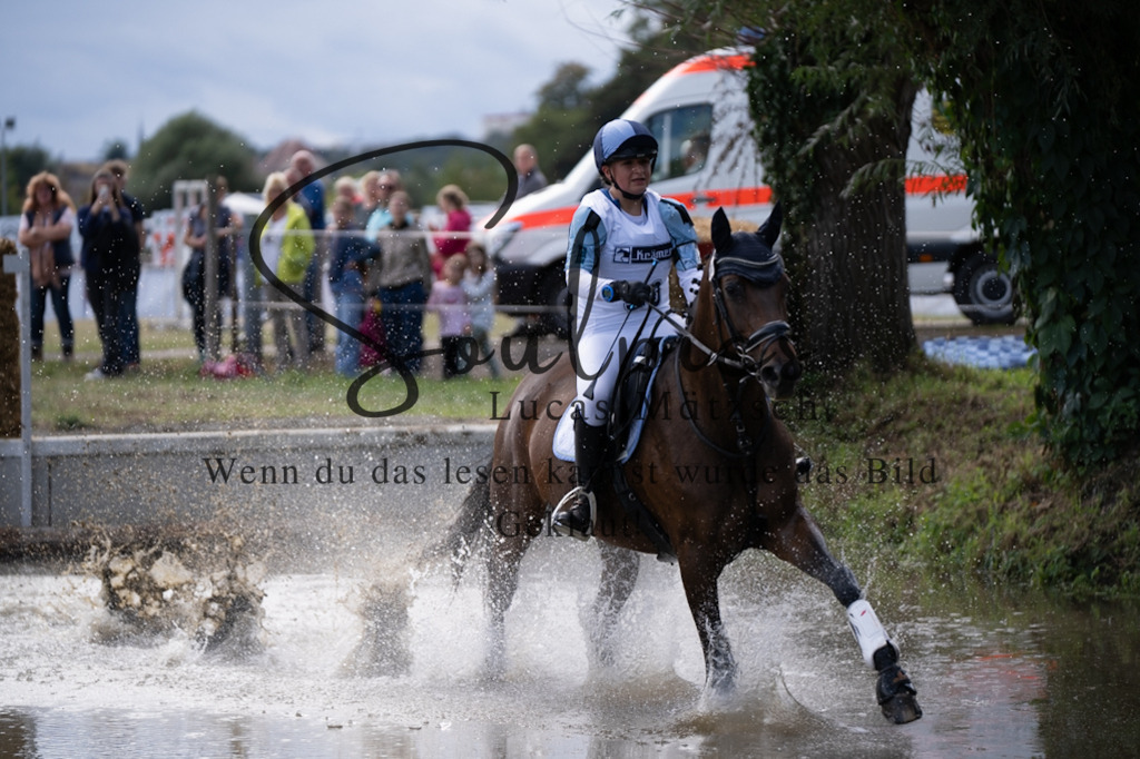 A7V01139 | Pferdefotograf