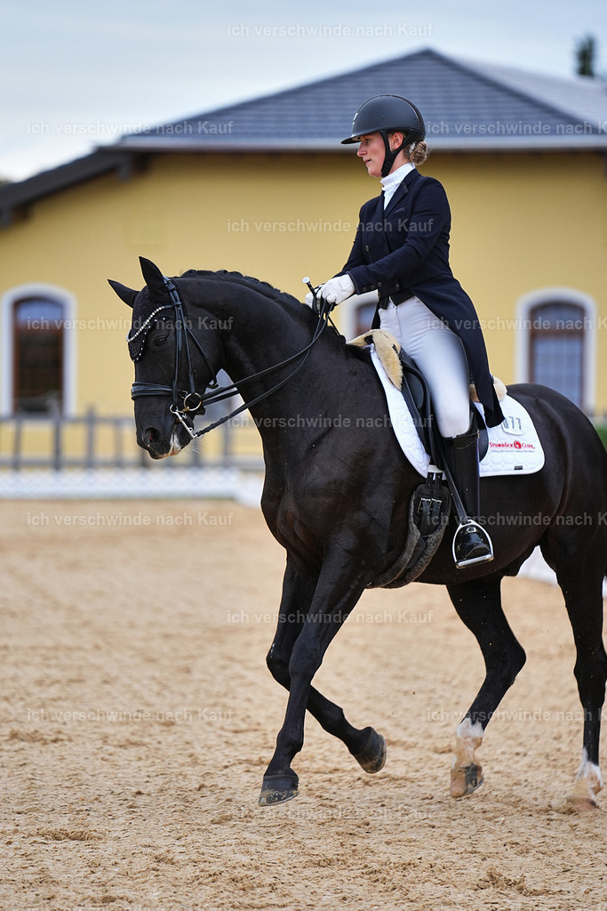 8_1-077-Klasse S_  -Marixx-4082 | working equitationturnier fotograf videograf stoibphotography marixx film working equitation deutschland reitsport turnierfotografie eventfotografie equestrian events