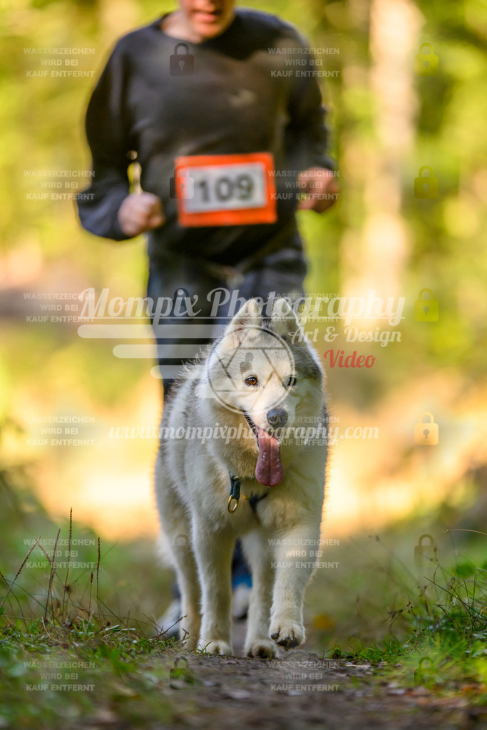 MompixPhotography_Yens2025_B3-106 | PayLife