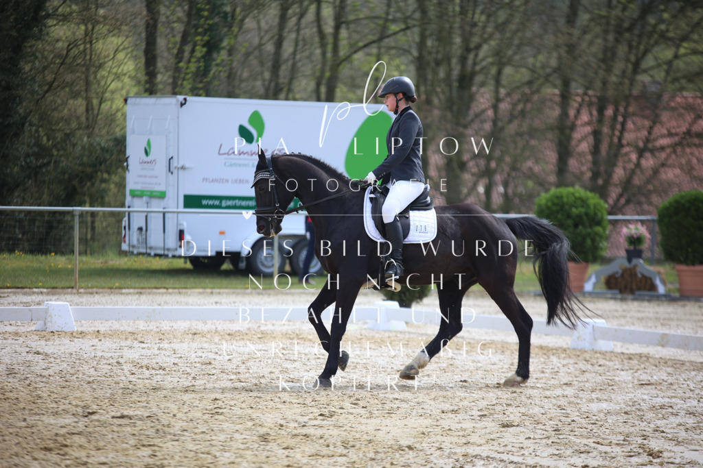 IMGT4715 | pl-fotografie