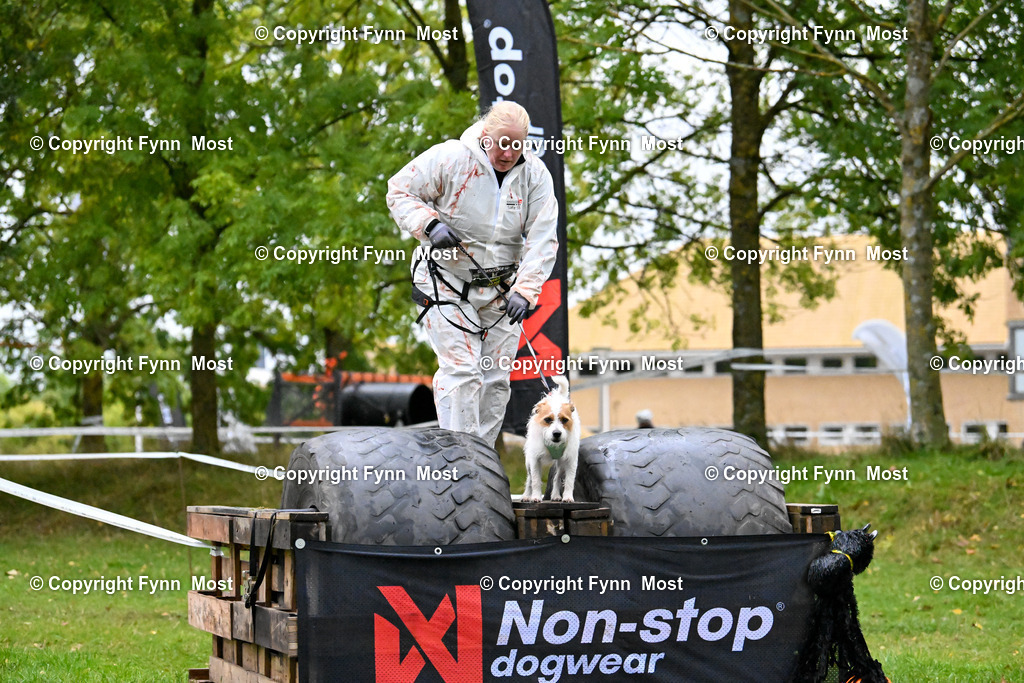 DSC_2999 | Hallo und herzlich Willkommen auf meiner Shop-Seite Fynn Most.

Ich wünsche Dir viel Spaß beim stöbern durch die Bilder, wenn Du Fragen hast oder Bilder vermisst, kannst du mir gerne eine Nachricht schreiben. - Realisiert mit Pictrs.com