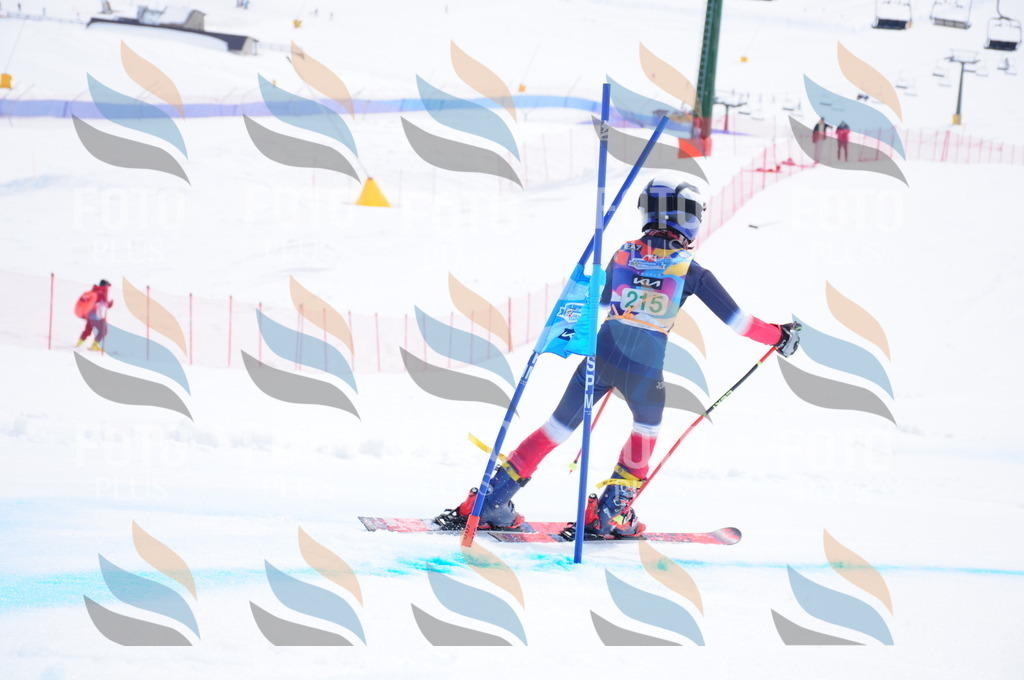 DSC_1954 | holidayphoto