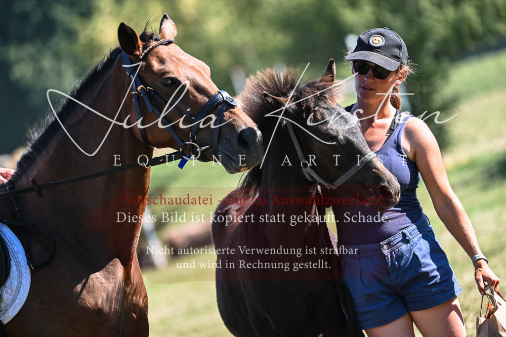 DSC_7020 | Pferde- und Turnierfotografie in Westsachsen. Pferdeportraits, Auftragszeichnungen und intuitive Kunst.