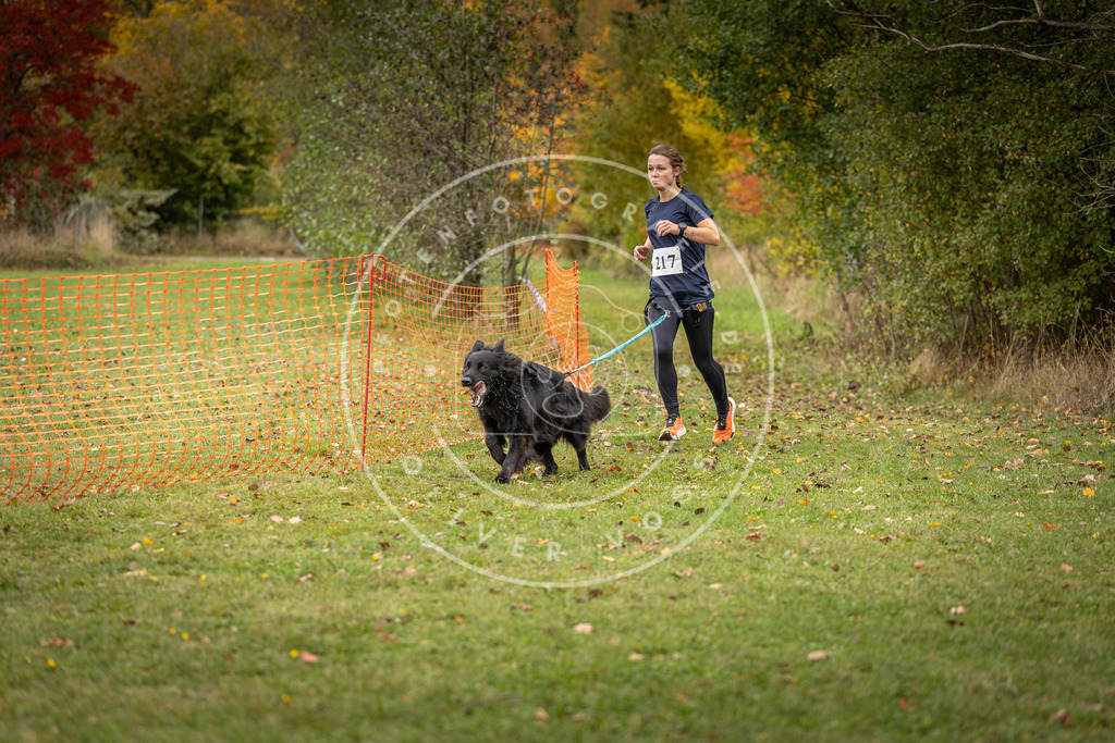 Pfotenfotografie_DV3A4768 | Hundefotografie, Tierfotograf, Pfotenfotografie, Fotoshooting Hund, Hunde Portrait, Hundesport, Hundeportraits, Heideshooting, Hunde, Sportfotograf, Hundefotograf, Turnierhundsport, THS,  - Realisiert mit Pictrs.com