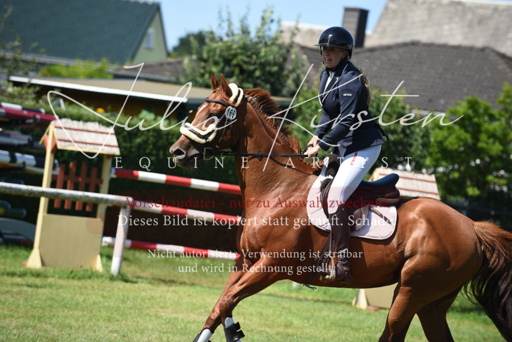 DSC_9342 | Pferde- und Turnierfotografie in Westsachsen. Pferdeportraits, Auftragszeichnungen und intuitive Kunst.
