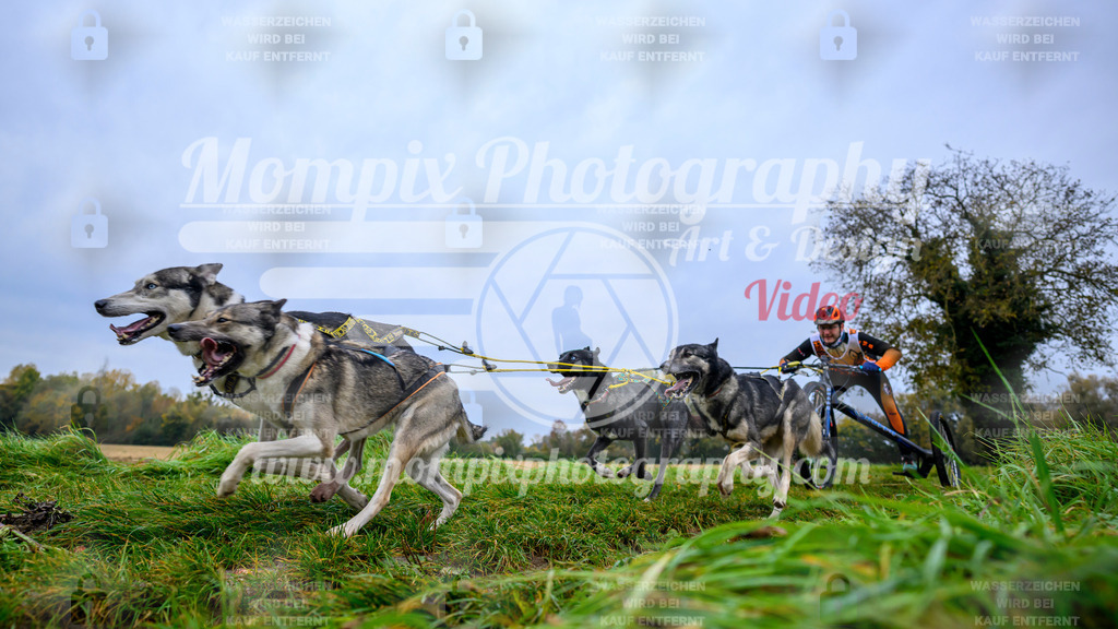 MompixPhotography_CDLBDB2025_DI_Kart-6 | PayLife