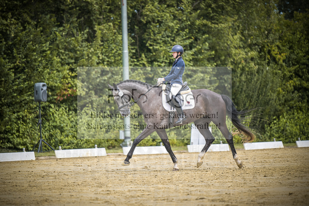 DOS_2110 | Entdecke hochwertige Reitturnierfotos von Foto Oger. Professionell, emotional und authentisch – jetzt Lieblingsmomente im Shop bestellen.Deutschlandweite Turnierfotografie. - Realisiert mit Pictrs.com