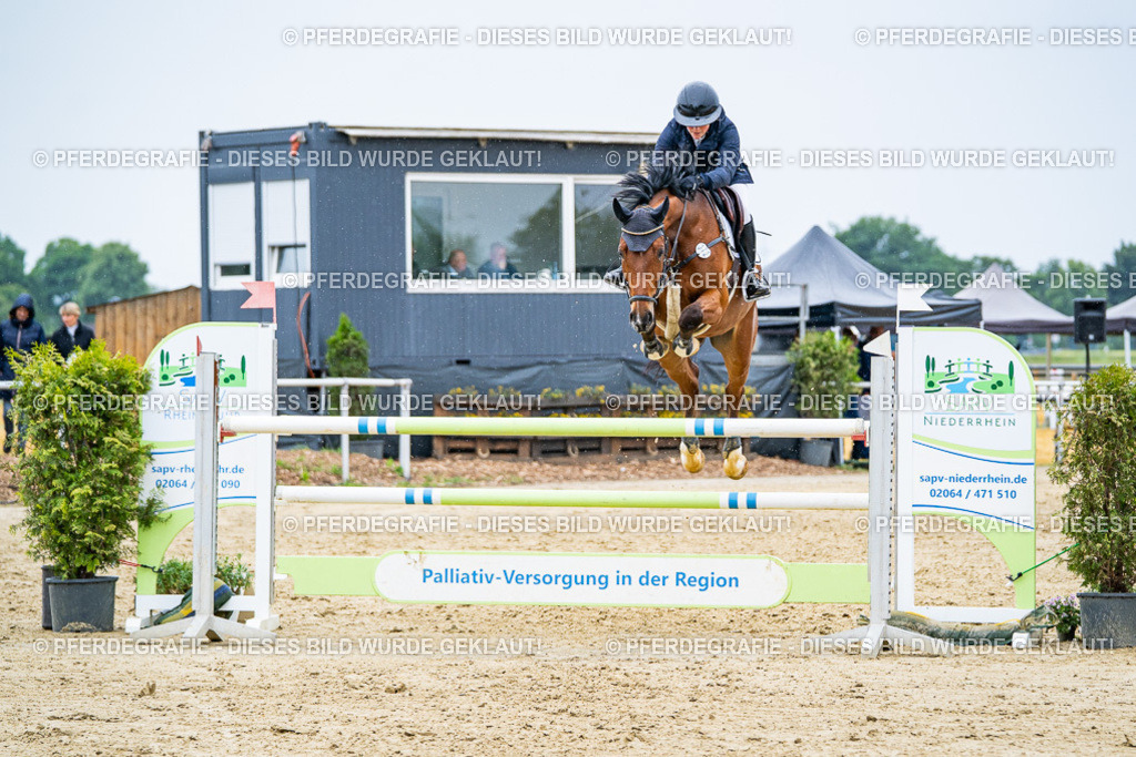 DSC07452 | Pferdegrafie