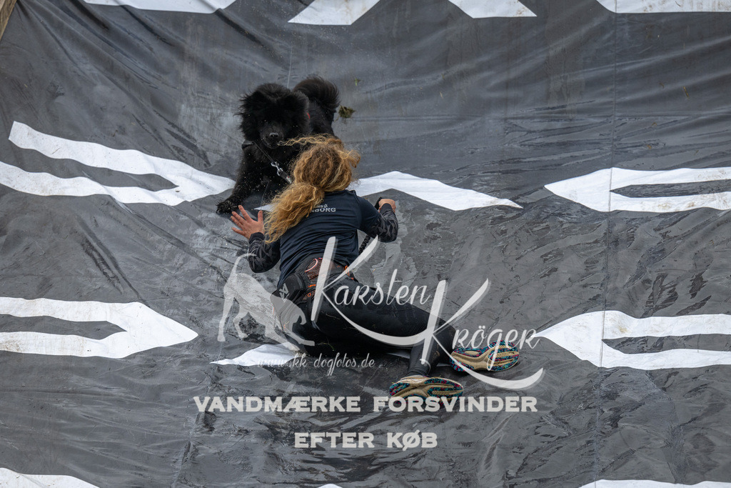 1607_ZZ92400 | kk-dogfotos