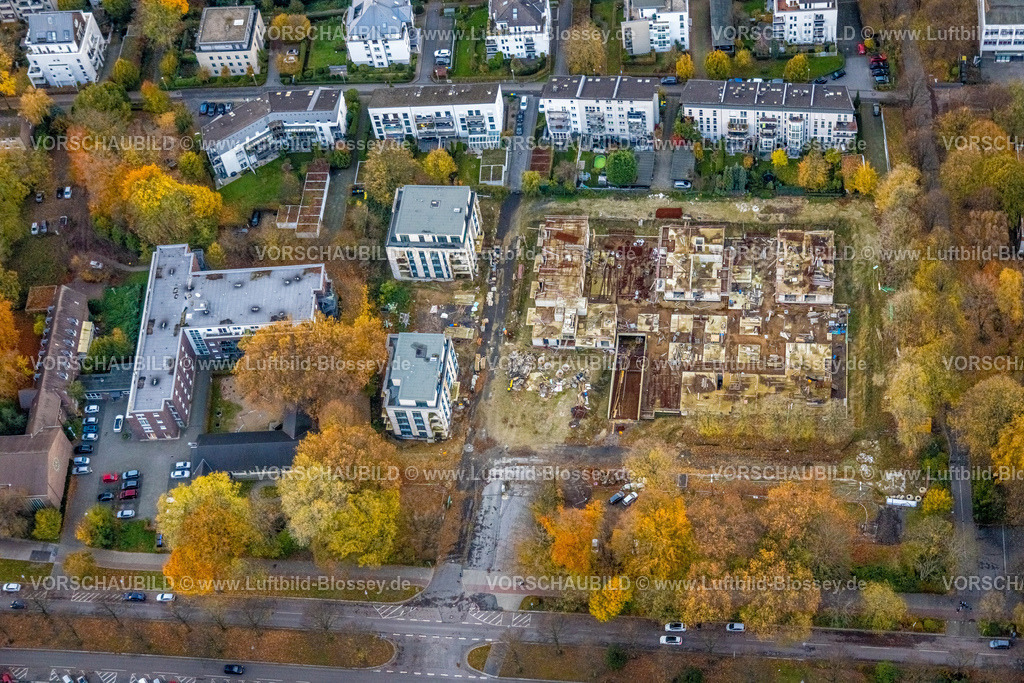 Gelsenkirchen231103276 | Luftbild, Baustelle und Neubau für Mehrfamilienhäuser an der Goldbergstraße, umgeben von herbstlichen Laubbäumen, Buer, Gelsenkirchen, Ruhrgebiet, Nordrhein-Westfalen, Deutschland