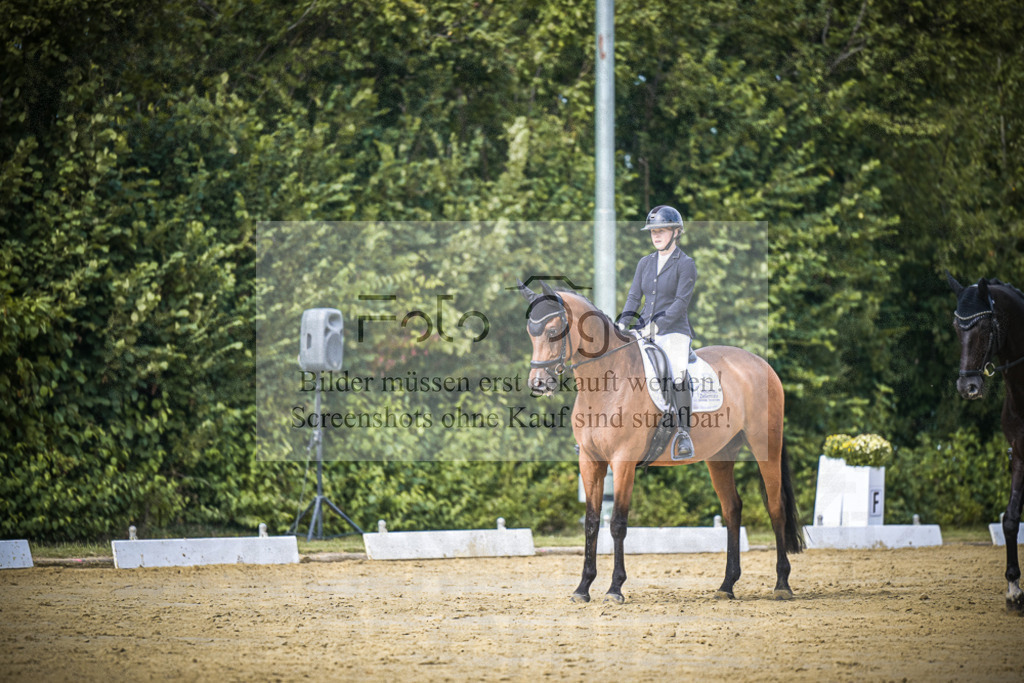 DOS_6126 | Entdecke hochwertige Reitturnierfotos von Foto Oger. Professionell, emotional und authentisch – jetzt Lieblingsmomente im Shop bestellen.Deutschlandweite Turnierfotografie. - Realisiert mit Pictrs.com