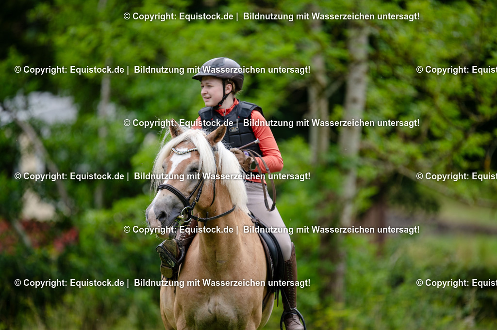 20250725_Vielseitigkeitslehrgang-Marbach_0306 | Foto: Thomas Hartig