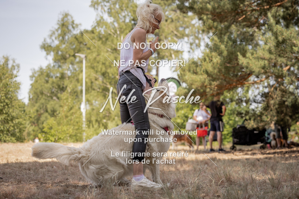 nelerasche_soDD2_207 | nelerasche