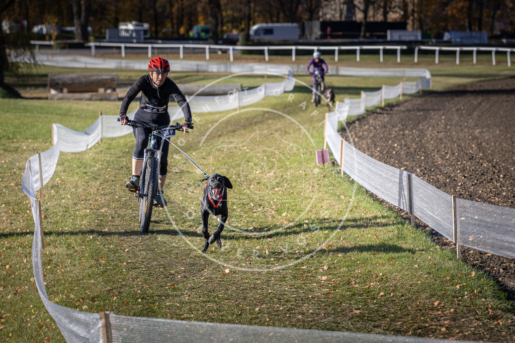 CaniXpix_DV3A5122 | Hundefotografie, Tierfotograf, Pfotenfotografie, Fotoshooting Hund, Hunde Portrait, Hundesport, Hundeportraits, Heideshooting, Hunde, Sportfotograf, Hundefotograf, Turnierhundsport, THS,  - Realisiert mit Pictrs.com
