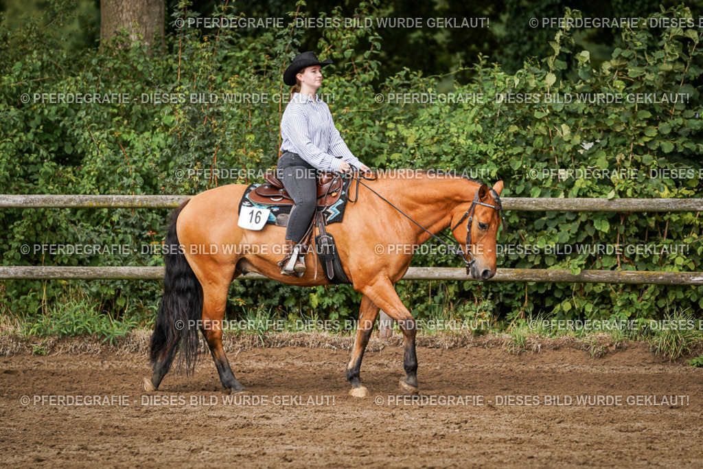 DSC09085 | Pferdegrafie