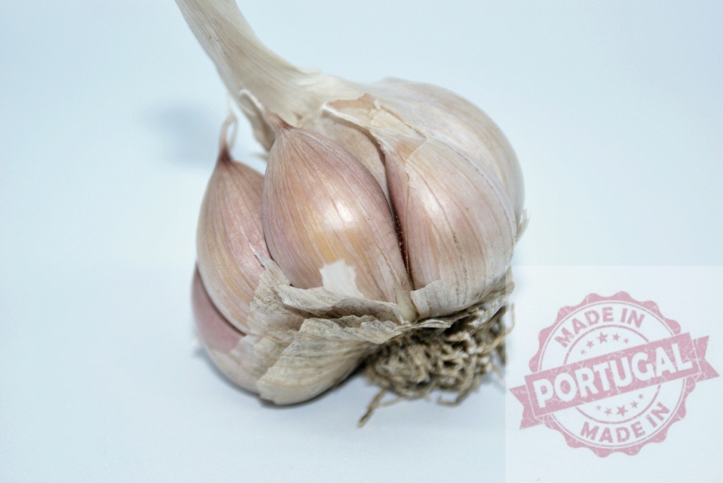 Fresh whole garlic bulb with cloves on white background | Whole garlic bulb showing individual cloves, ready for cooking and seasoning - Realized with Pictrs.com