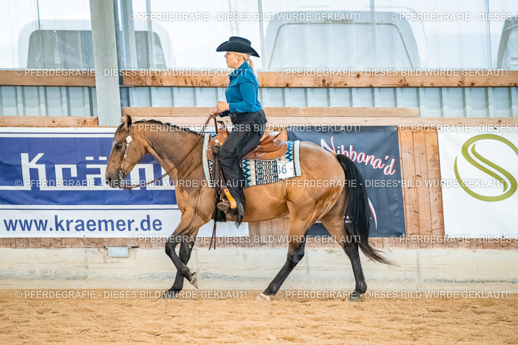 DSC00475 | Pferdegrafie