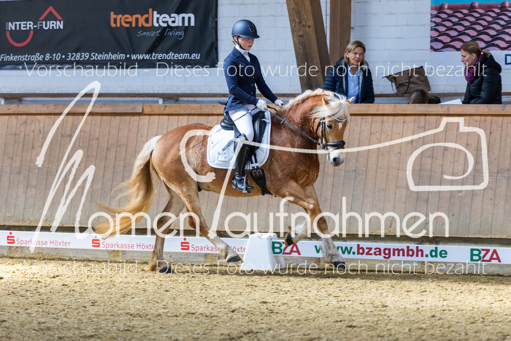 Sth-LPO25-DrR-L-128 | MomenTaufnahmen Pferdesportfotos