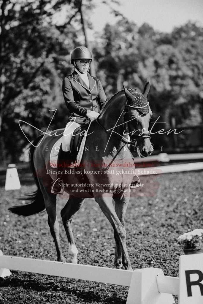 DSC_3159 | Pferde- und Turnierfotografie in Westsachsen. Pferdeportraits, Auftragszeichnungen und intuitive Kunst.