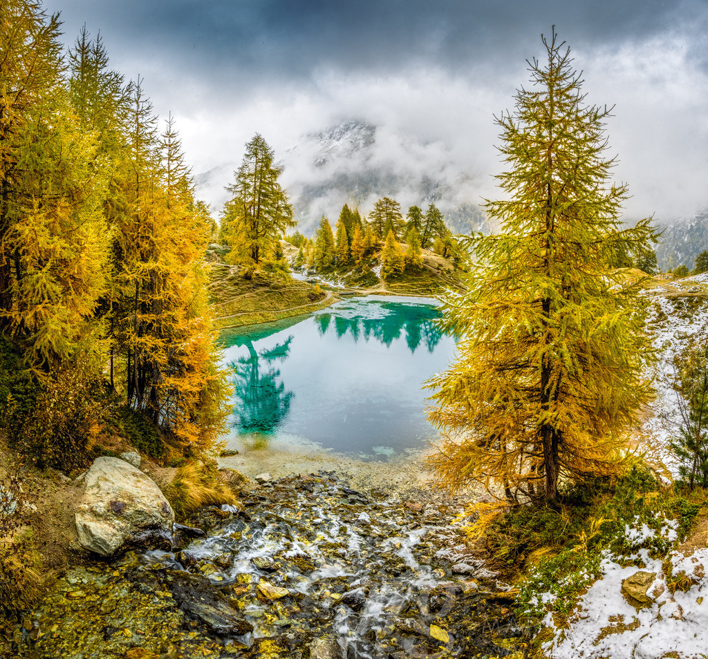 yellow larches in autumn at Lac Bleu near Arolla in Valais | Die ideale Geschenkidee für Naturliebhaber. Naturbilder von Marcel Gross Photography für ihr Zuhause in den verschiedensten Formaten und Materialien. - Realisiert mit Pictrs.com