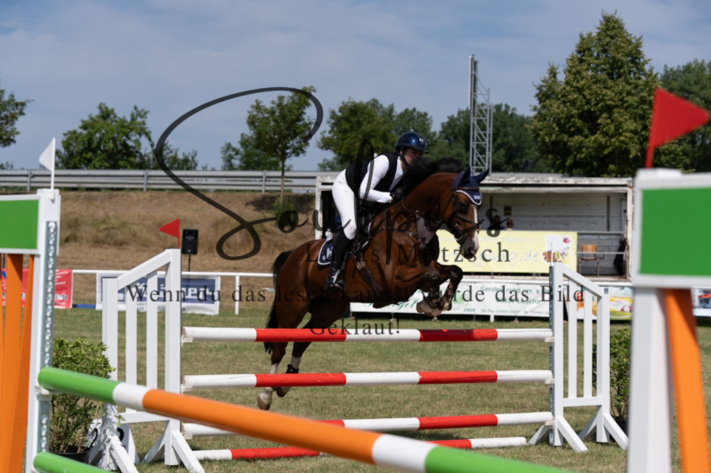 A7V01626 | Pferdefotograf