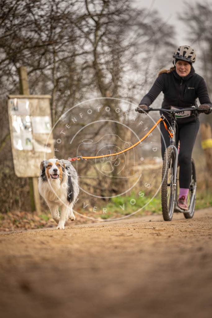 Pfotenfotografie_DV3A4228 | Hundefotografie, Tierfotograf, Pfotenfotografie, Fotoshooting Hund, Hunde Portrait, Hundesport, Hundeportraits, Heideshooting, Hunde, Sportfotograf, Hundefotograf, Turnierhundsport, THS,  - Realisiert mit Pictrs.com