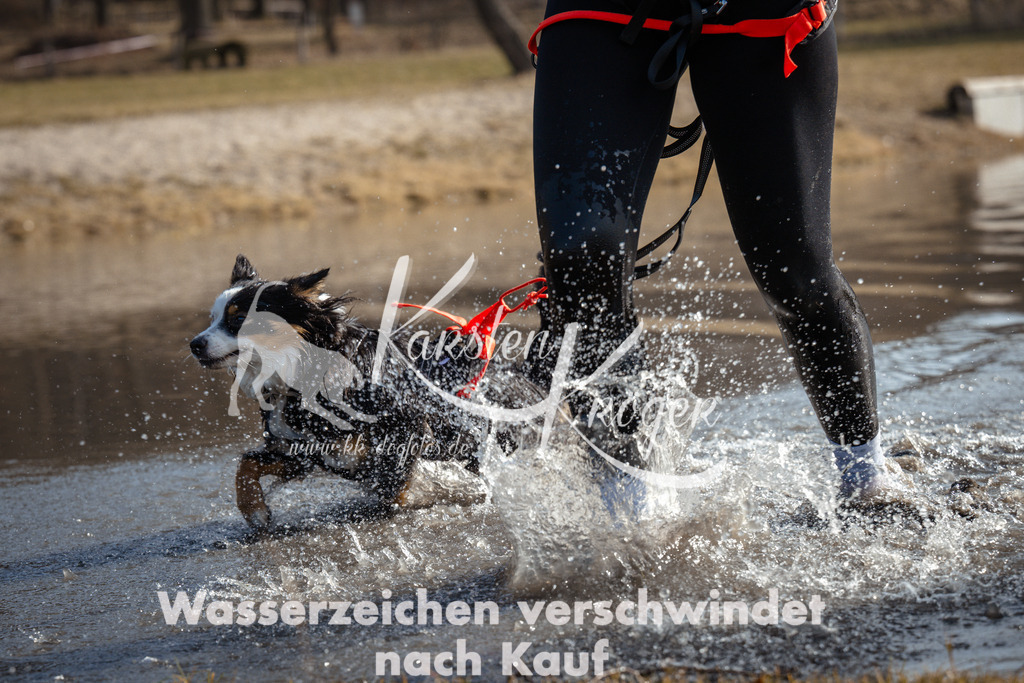 1059_ZZ91211 | kk-dogfotos