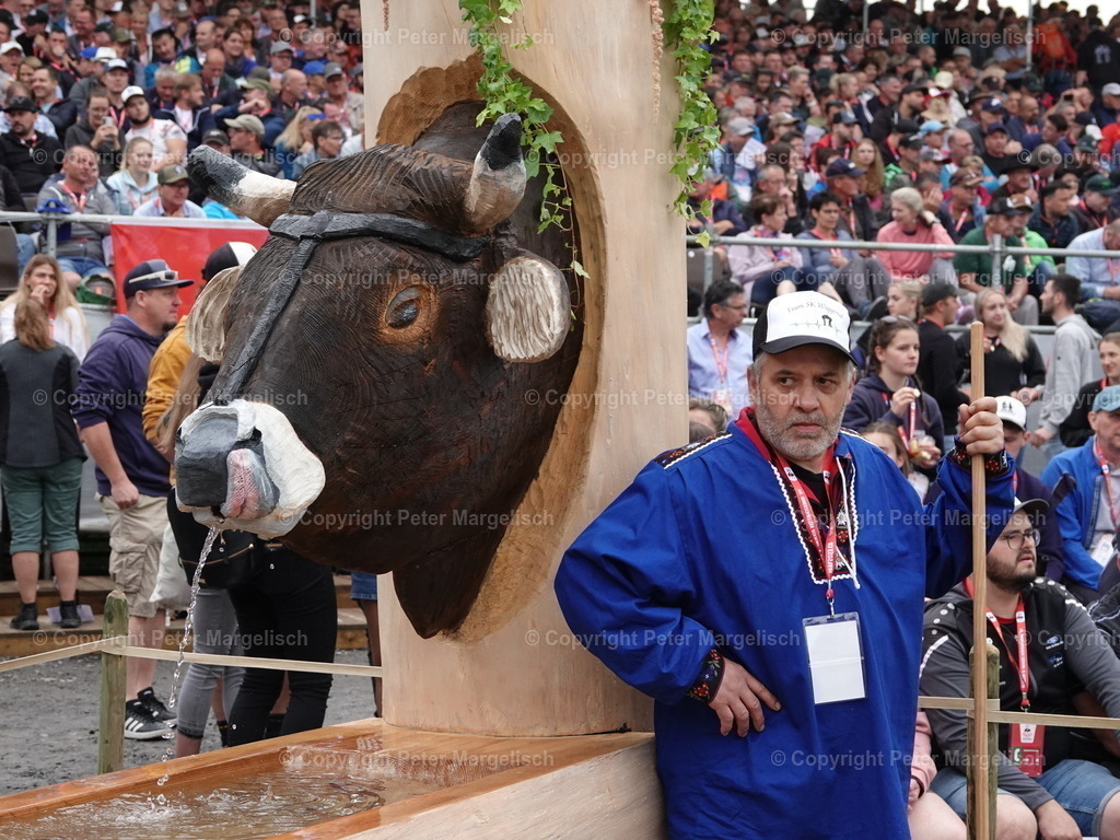 DSC04883 | Schwingen - Realisiert mit Pictrs.com