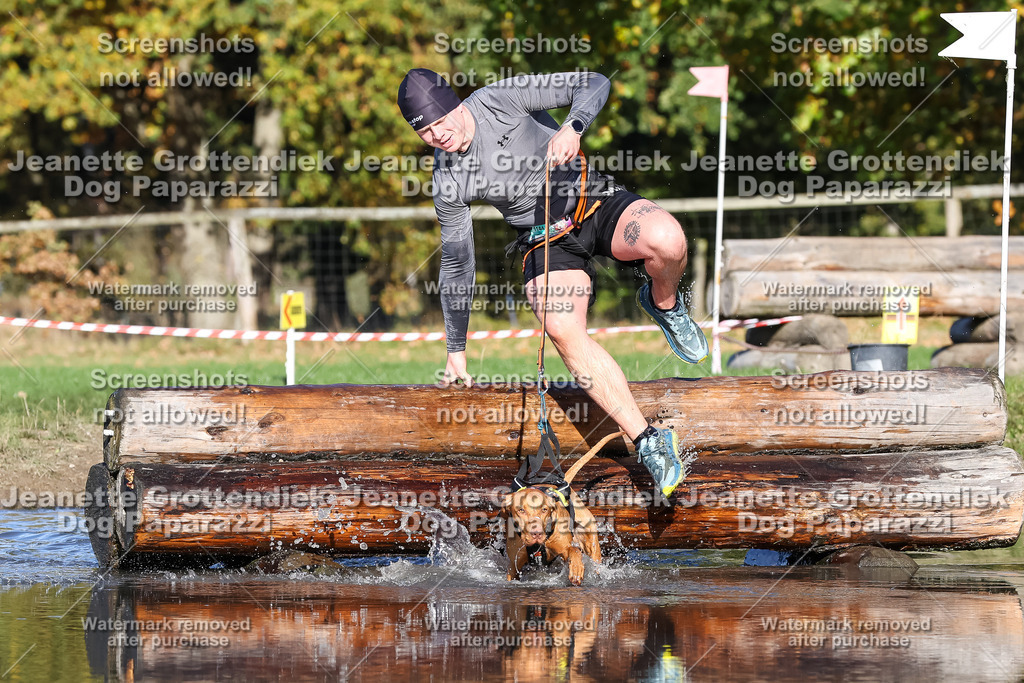 Dog Paparazzi - Strongdog 10-25-8894 | Dog Paparazzi Jeanette Grottendiek Fotografie & Videografie - Realisiert mit Pictrs.com