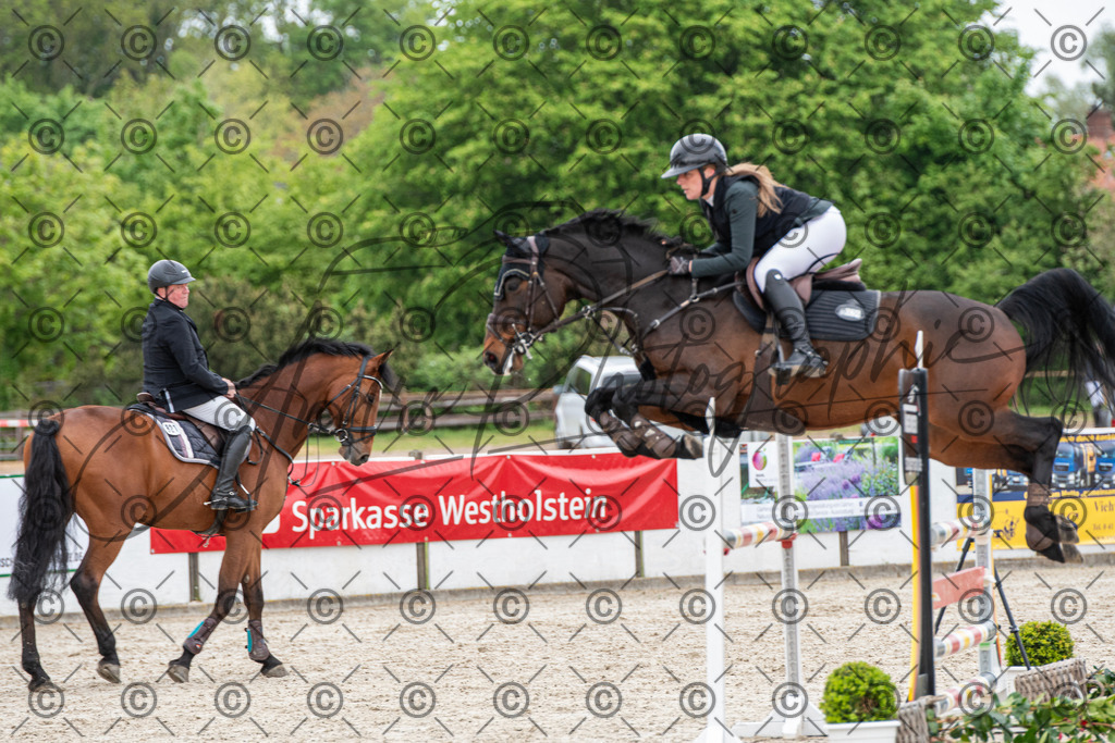 KPT_8546 | andre_photographic