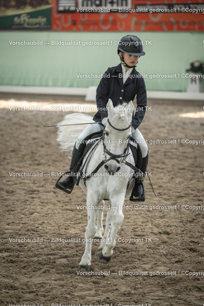 _D5A5695 | Emotionale Pferde- & People-Fotografie rund um Heidelberg, Leimen & Umgebung. Natürliche Fotos von Pferd, Mensch & Familie. Jetzt Termin sichern!