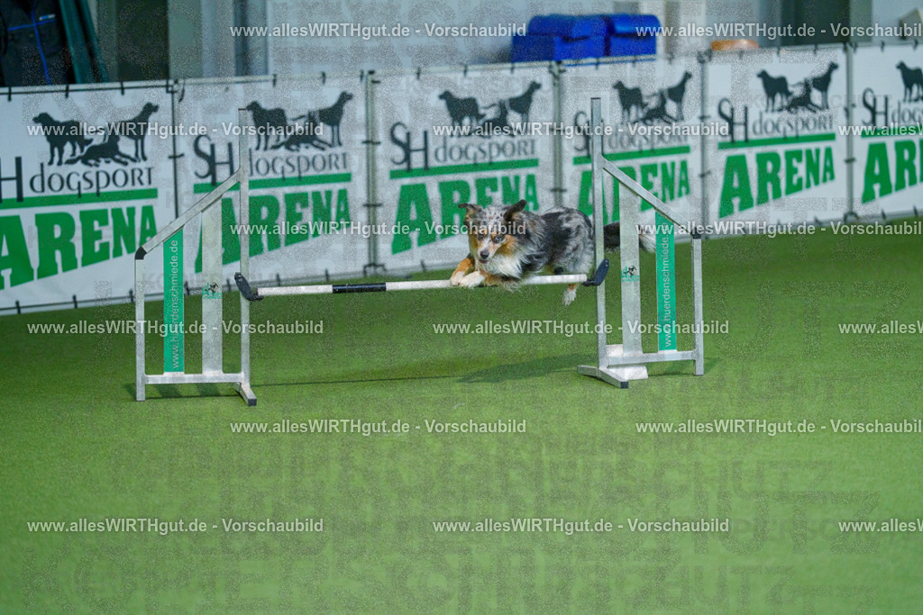 @allesWIRTHgut_Tierfotografie - www.allesWIRTHgut.de - 2604250958-7R509361 | Professionelle Tierfotografie in Mönchengladbach von Daniel Wirth (allesWIRTHgut). Liebevolle & natürliche Bilder von Hunden & Katzen für unvergessliche Erinnerungen.