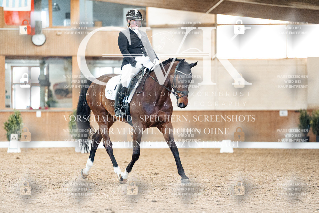 CK909346 | Turnierfotografie Pferdefotografie Trier Rheinland-Pfalz Pferdesport Reitsport Tierfotografie Sportfotografie Pferdevideo Pferdevideografie Equestrianvideography equestrianphotography  - Realisiert mit Pictrs.com