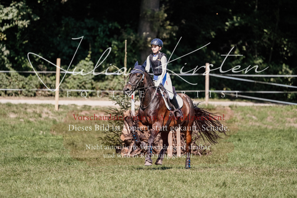DSC_2799 | Pferde- und Turnierfotografie in Westsachsen. Pferdeportraits, Auftragszeichnungen und intuitive Kunst.
