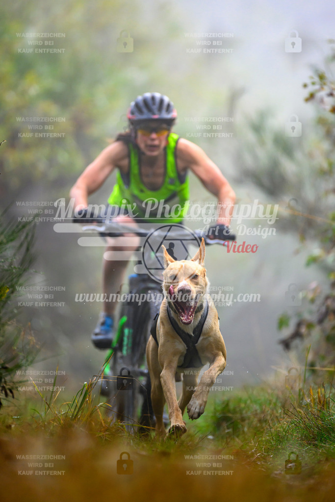 MompixPhotography_20TSB_E4_Bike-64 | PayLife
